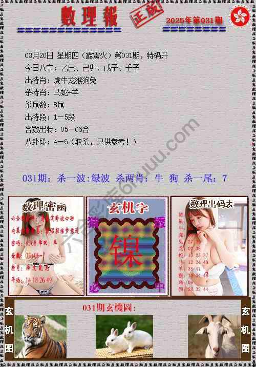 数理报