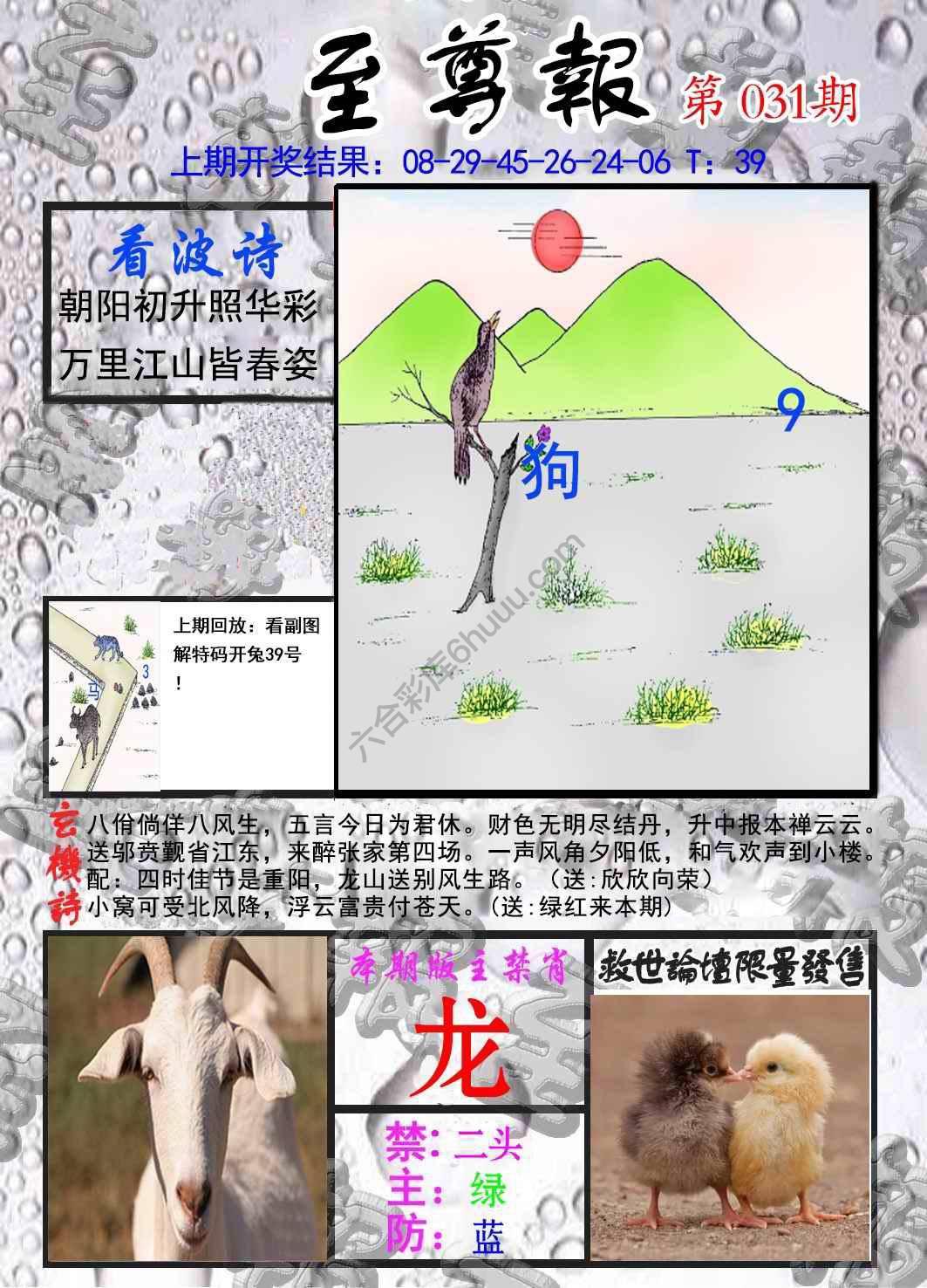 至尊报