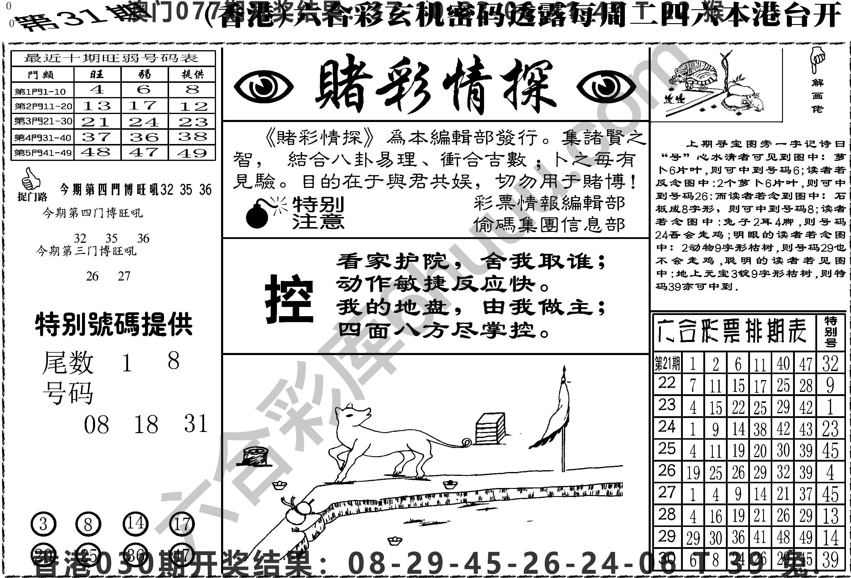 赌彩情探
