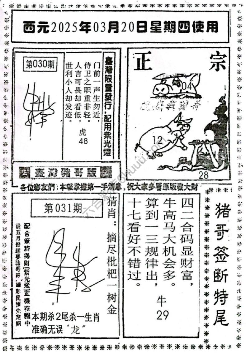 猪哥签断特尾