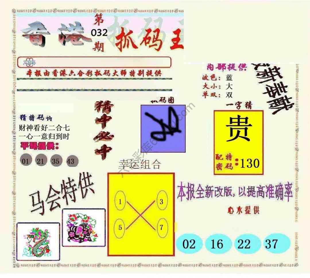 新抓码王