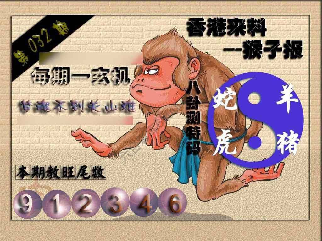 猴子报