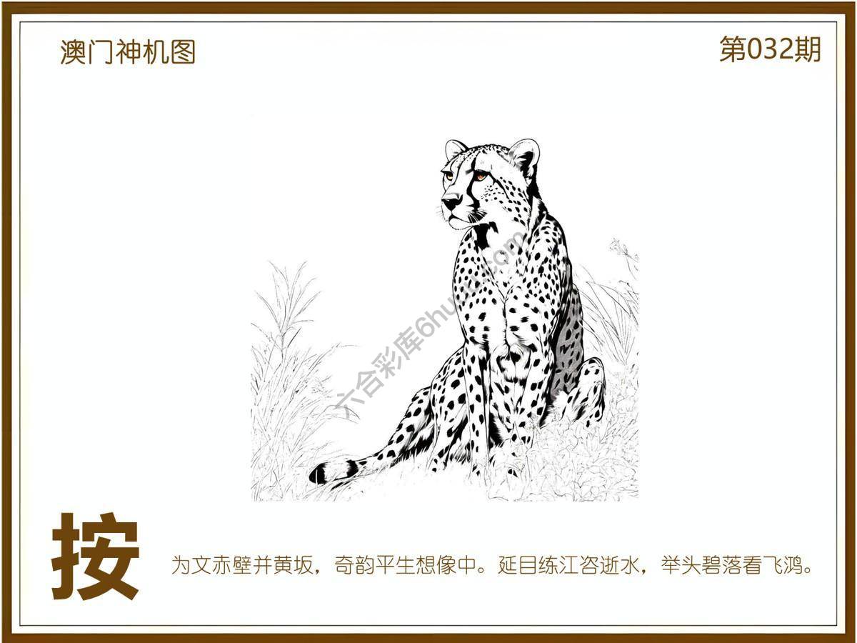 澳门神机图