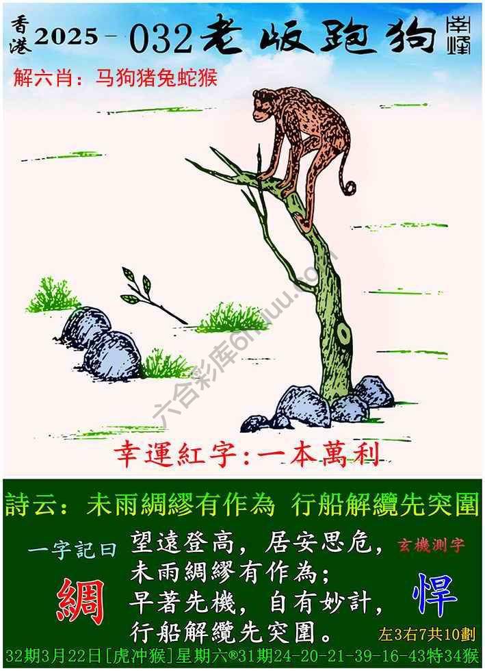 老版跑狗图