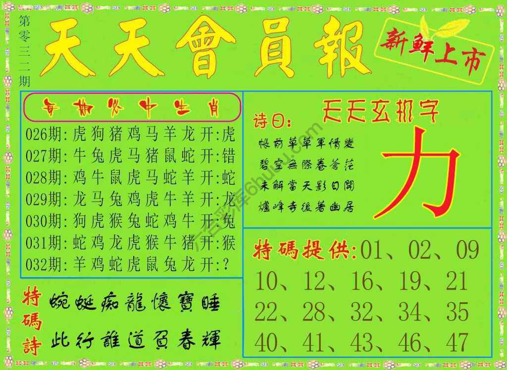 天天会员报