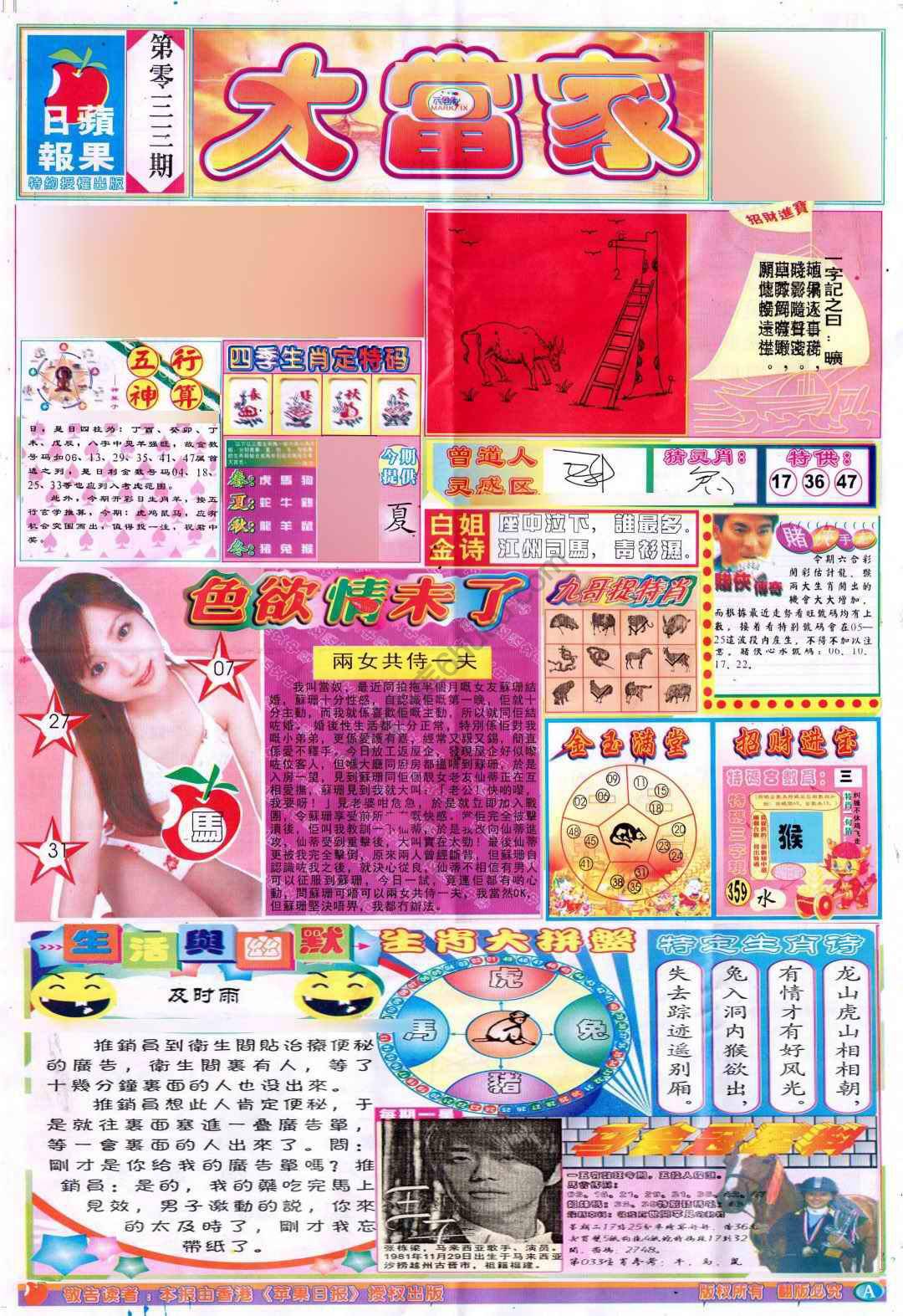 大当家