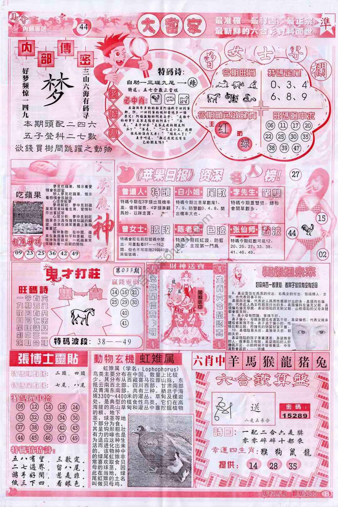大当家