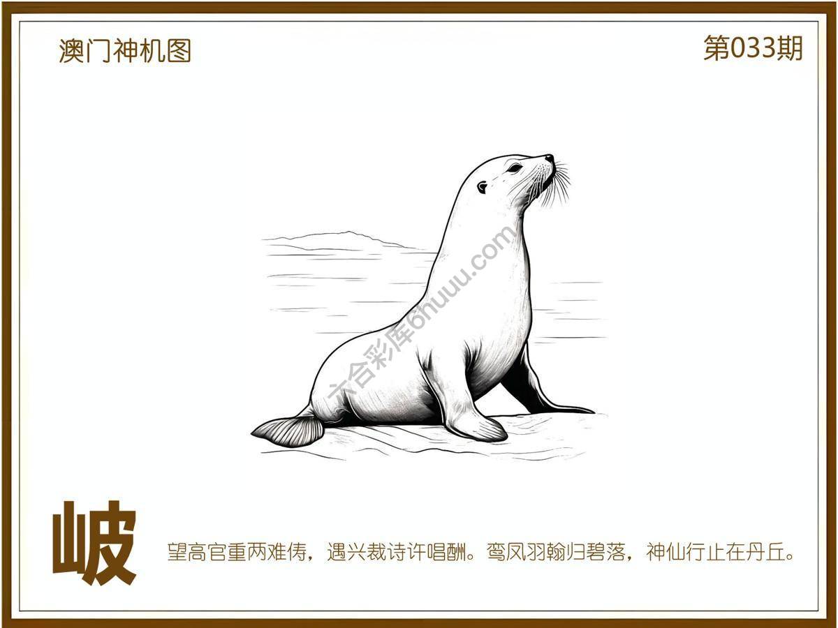 澳门神机图