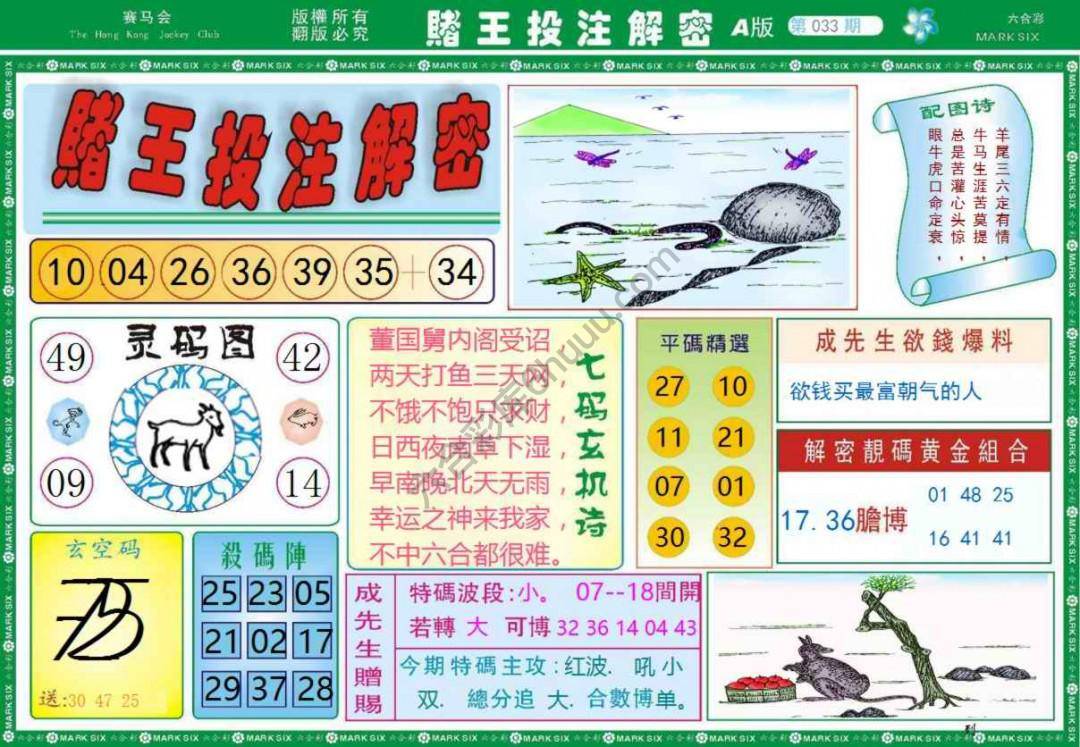 赌王投注解密