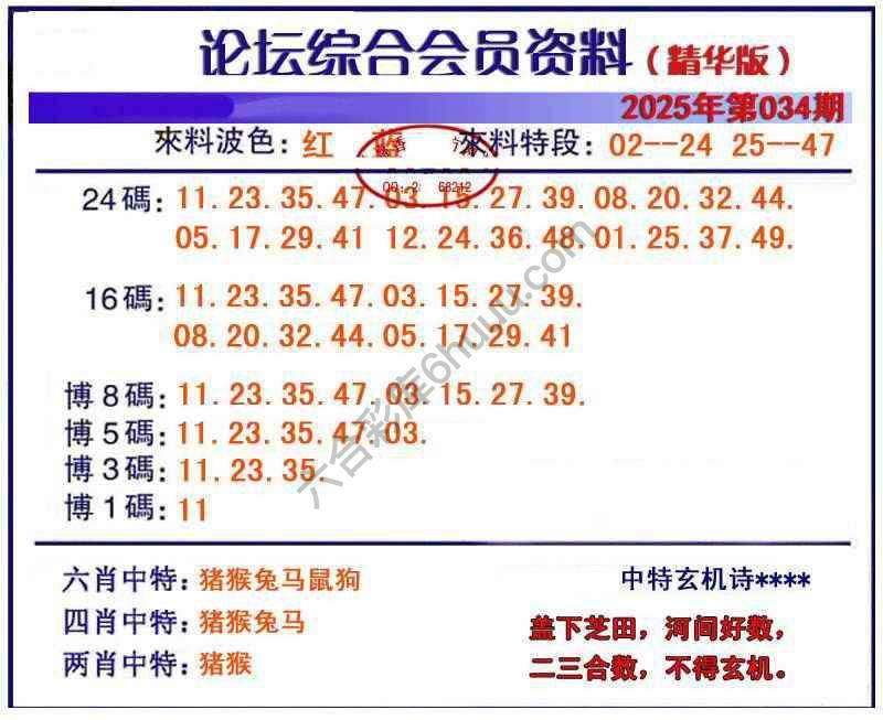 综合会员资料