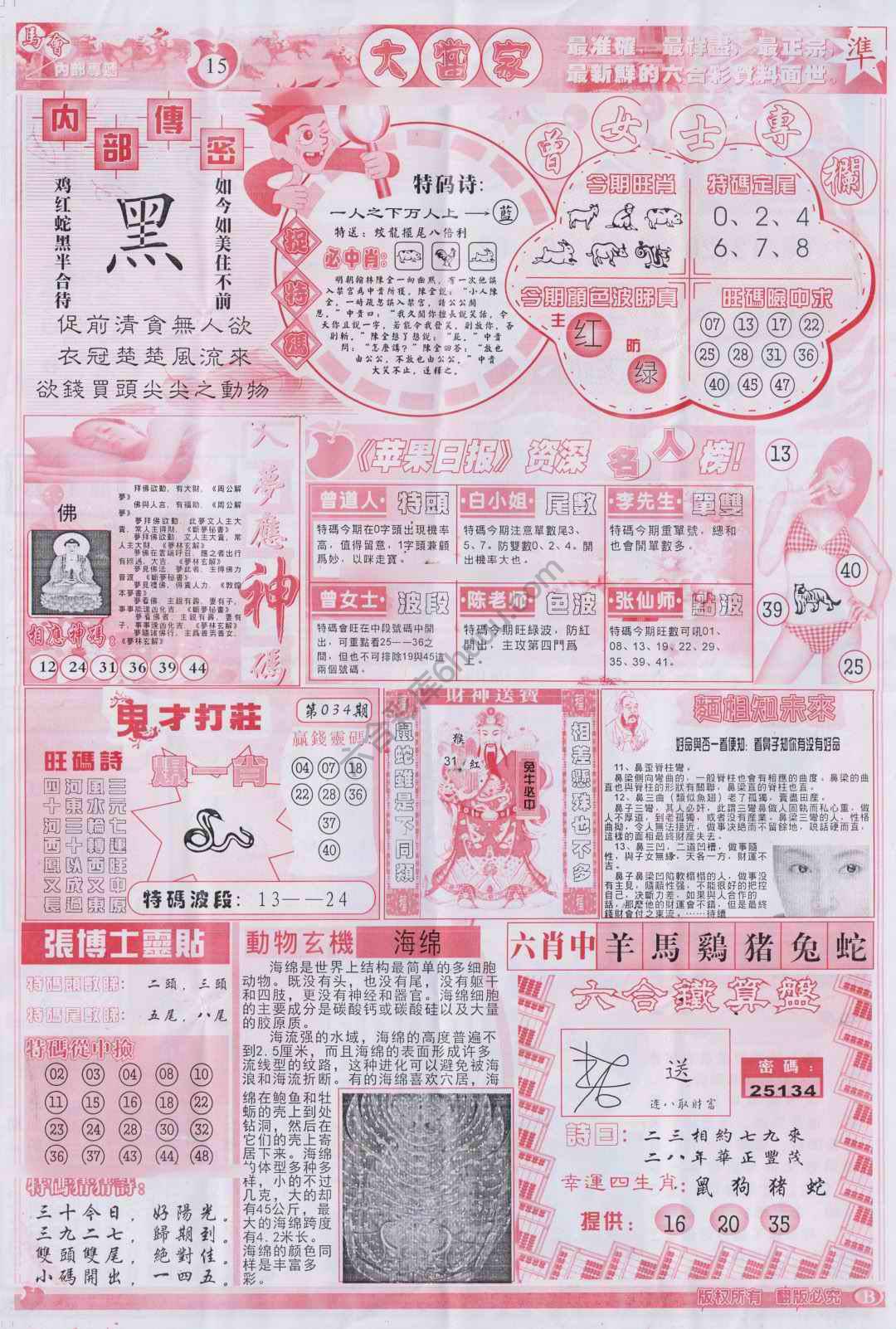 大当家