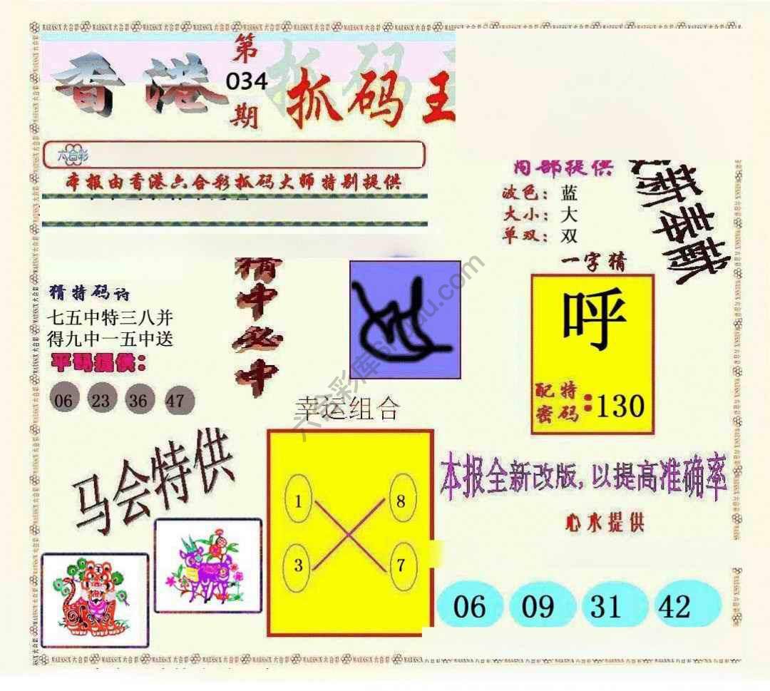 新抓码王