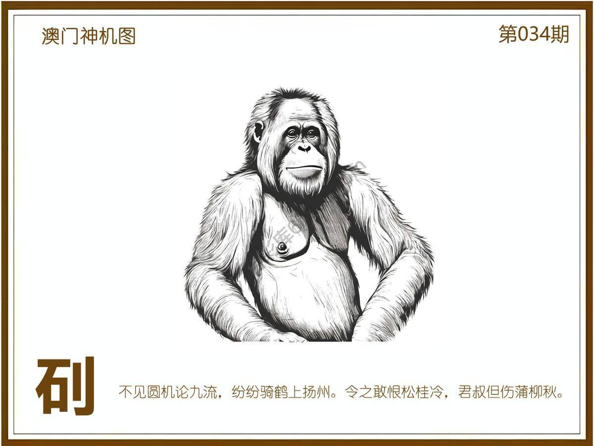 澳门神机图