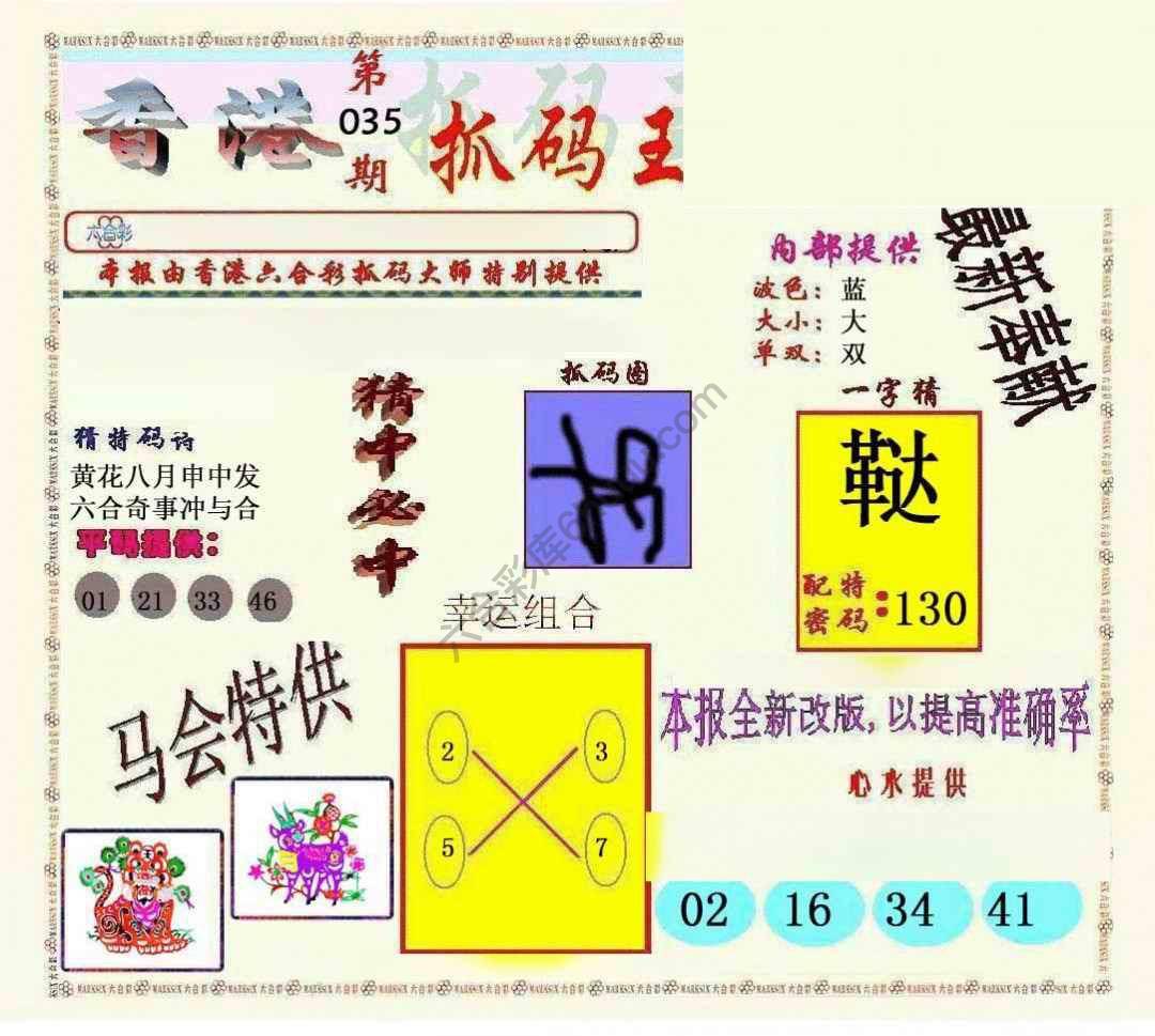 新抓码王