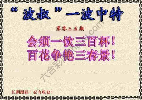 波叔一波中特