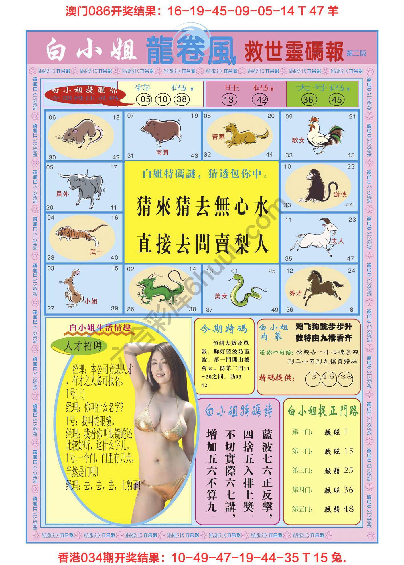 白小姐龙卷风