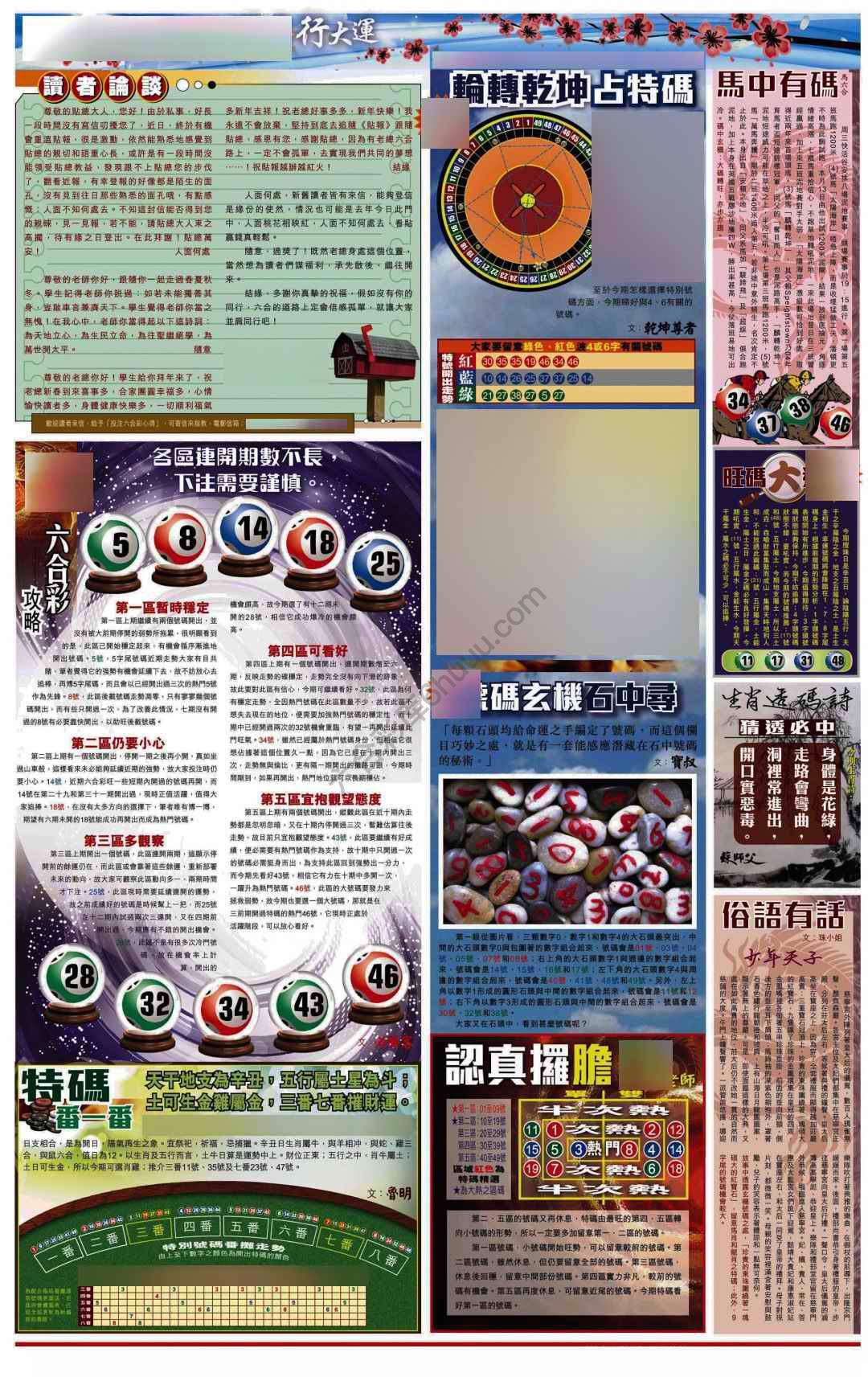 大版贴士皇