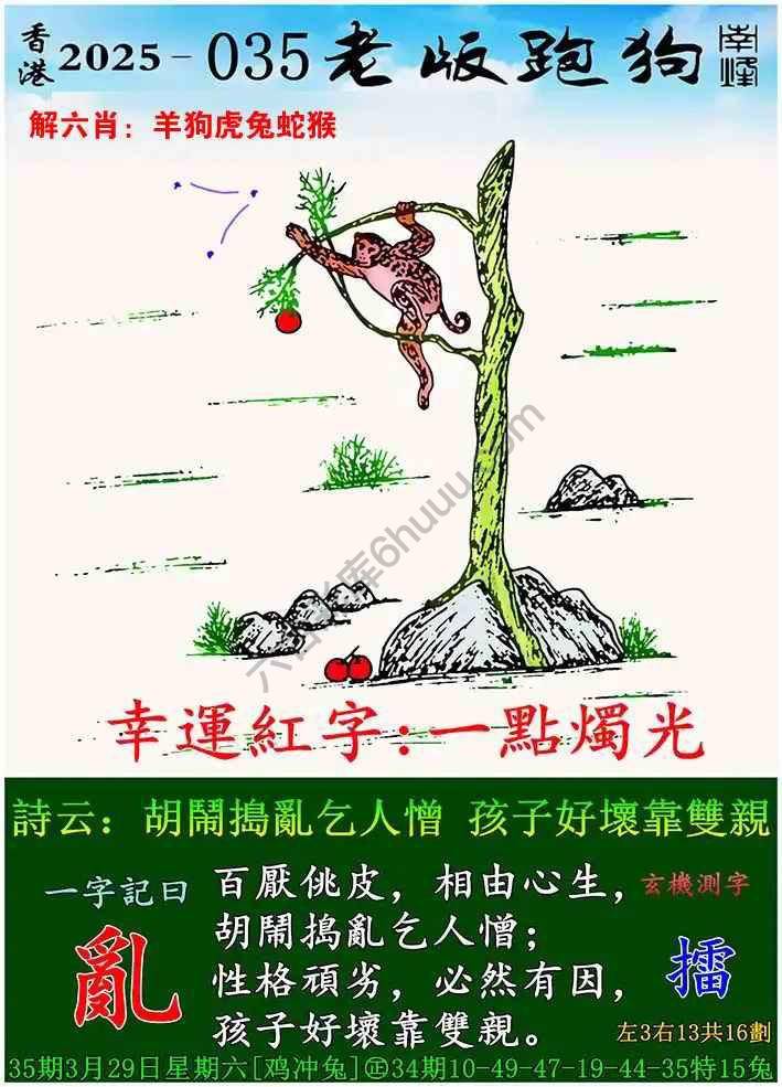 老版跑狗图