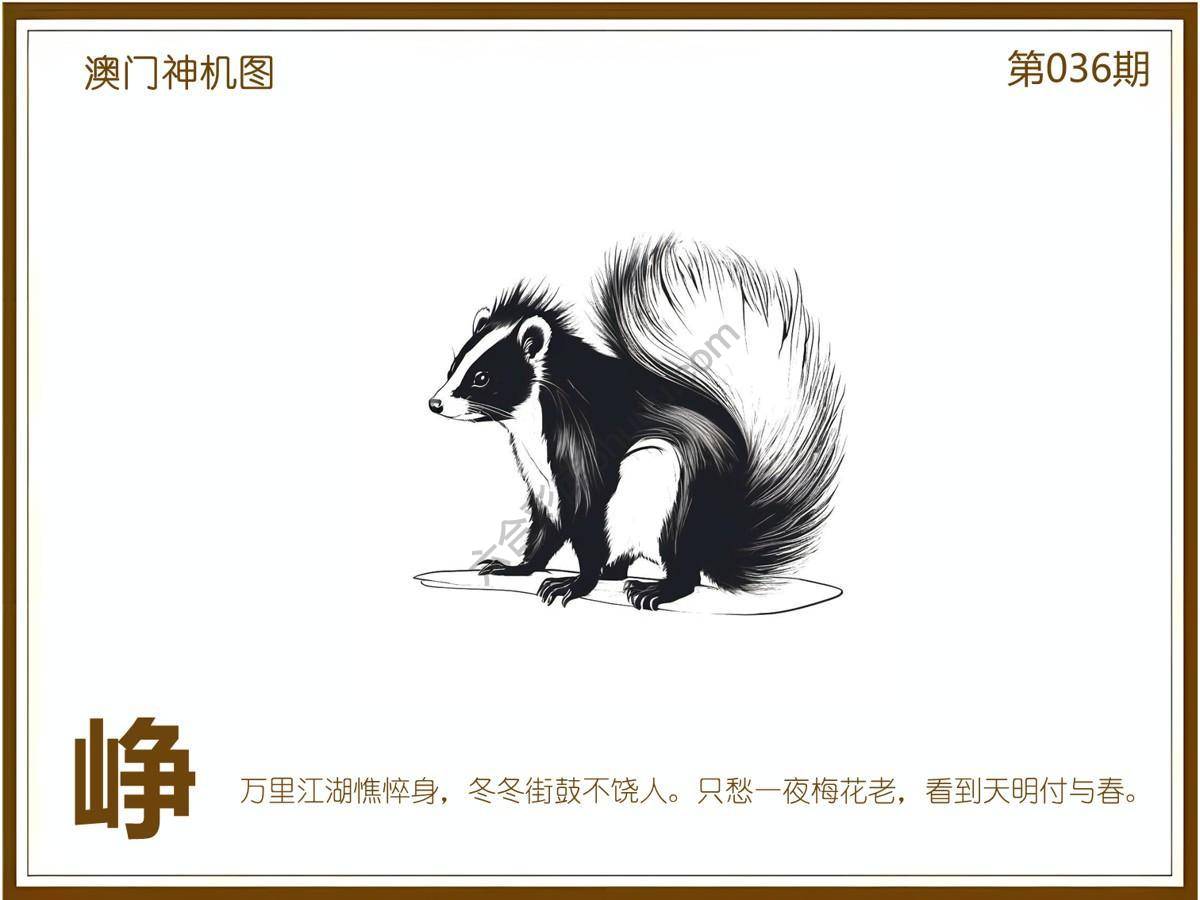 澳门神机图