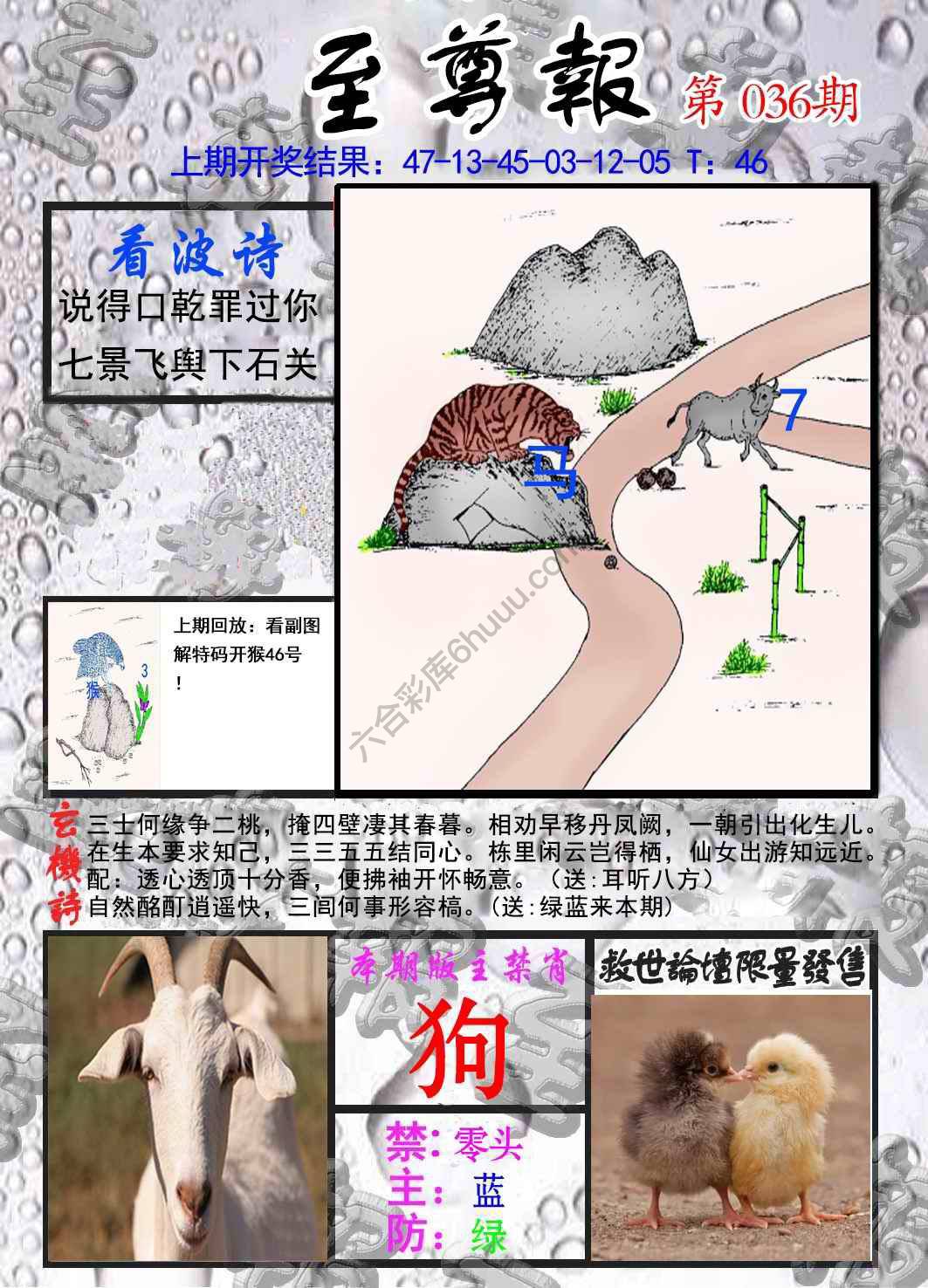 至尊报