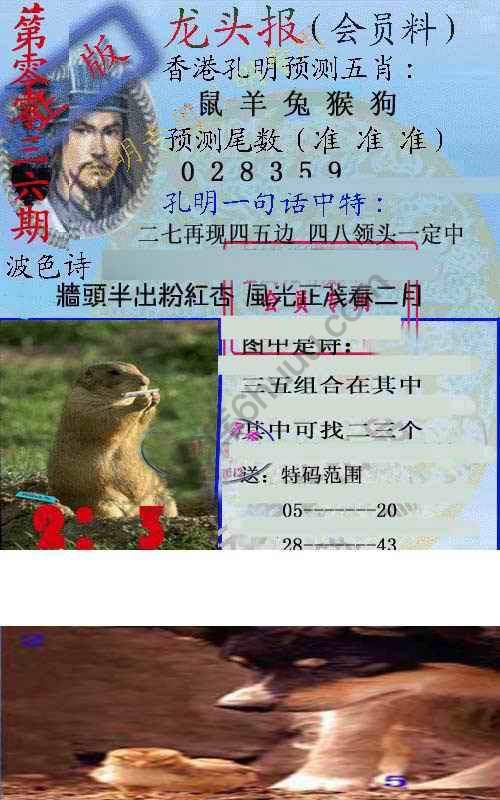 龙头报