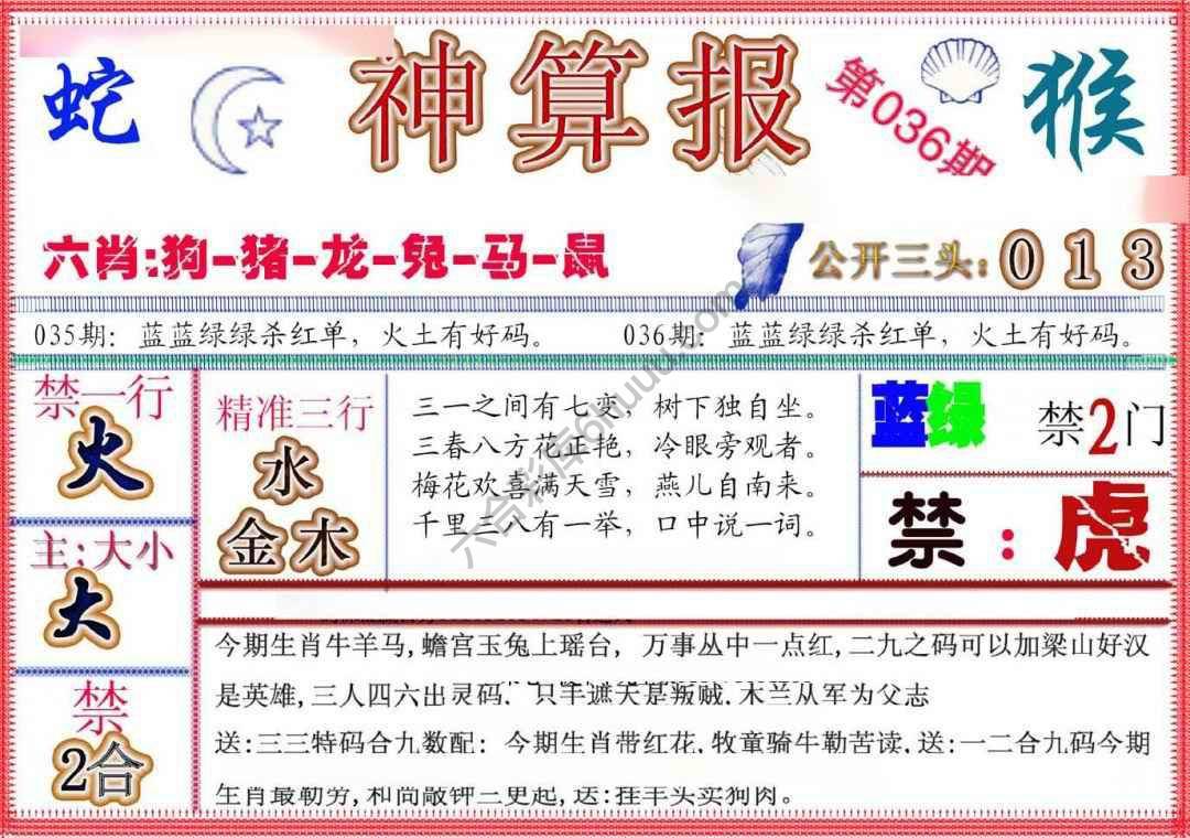 神算报新版