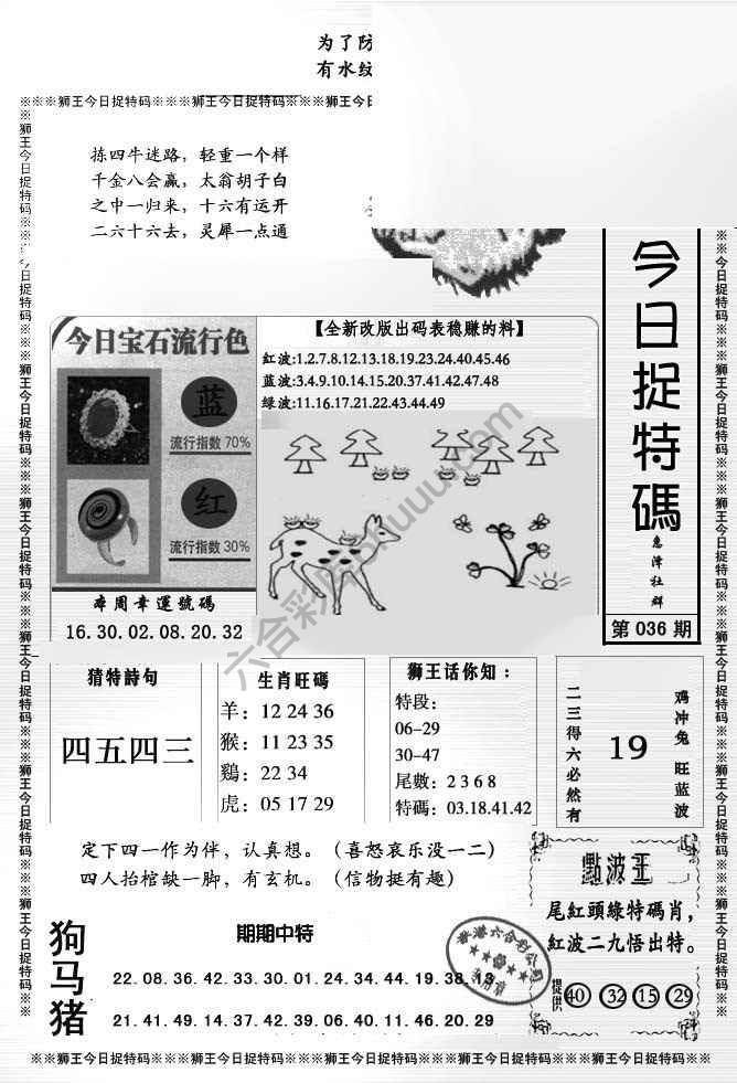 狮王今日抓特码