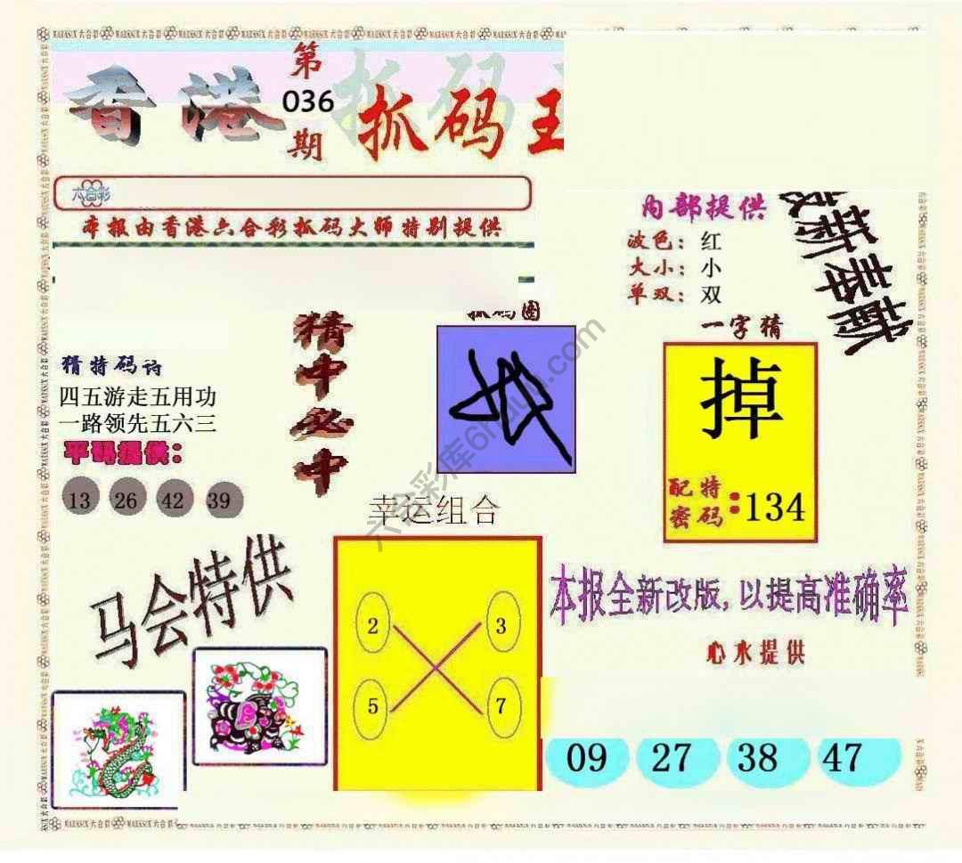 新抓码王