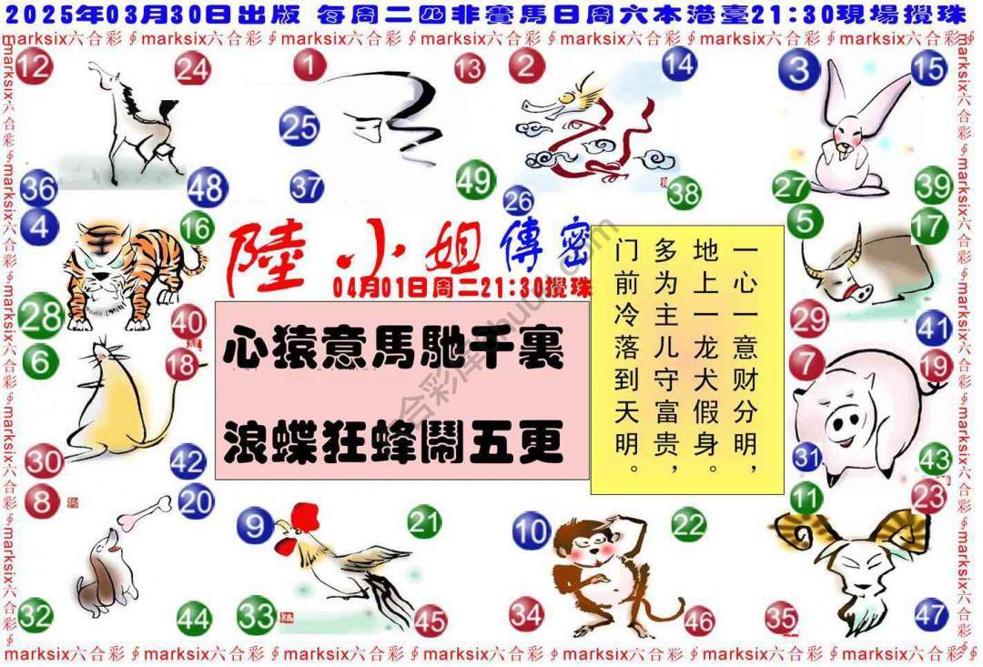 陆小姐传密