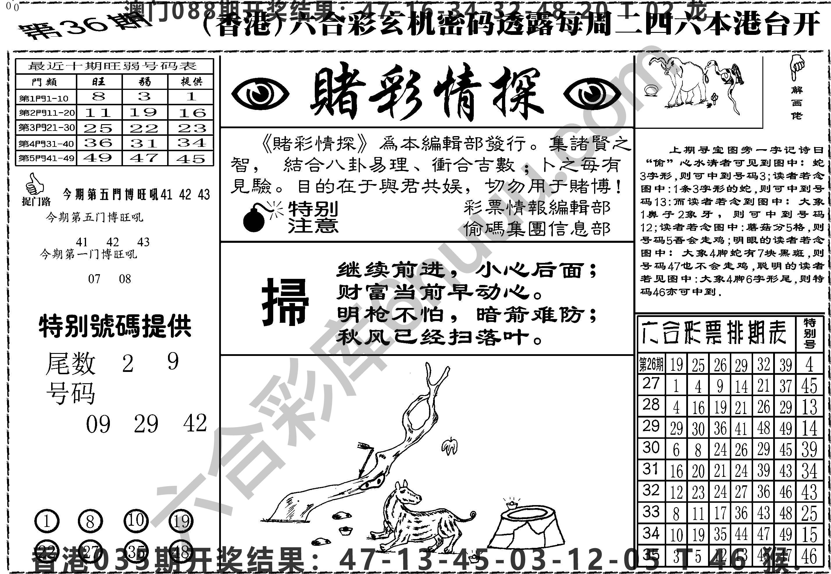 赌彩情探