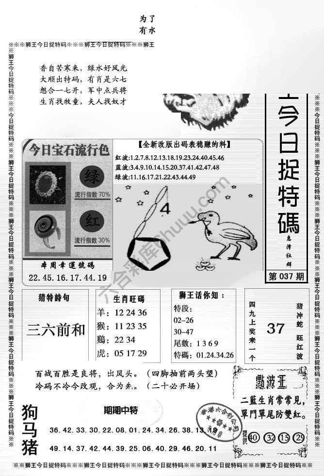 狮王今日抓特码