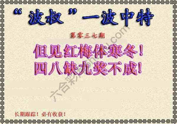 波叔一波中特
