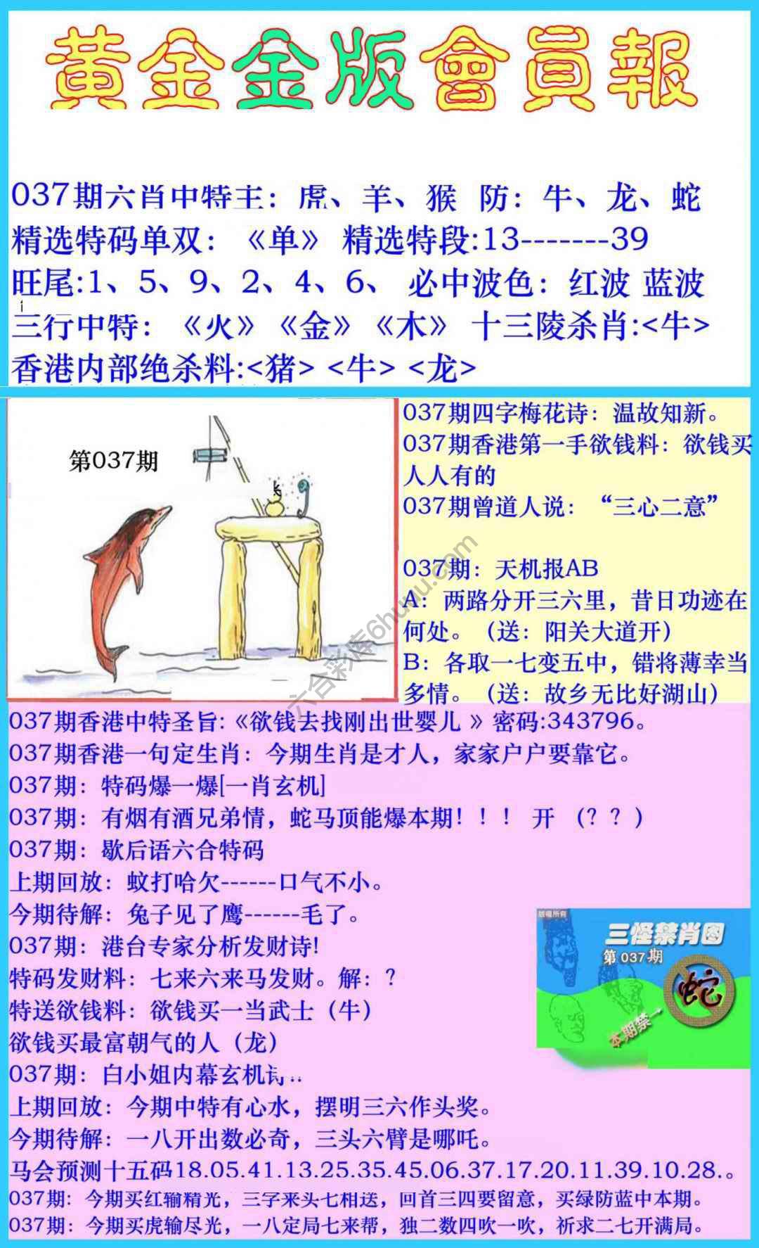 黄金金版会员报