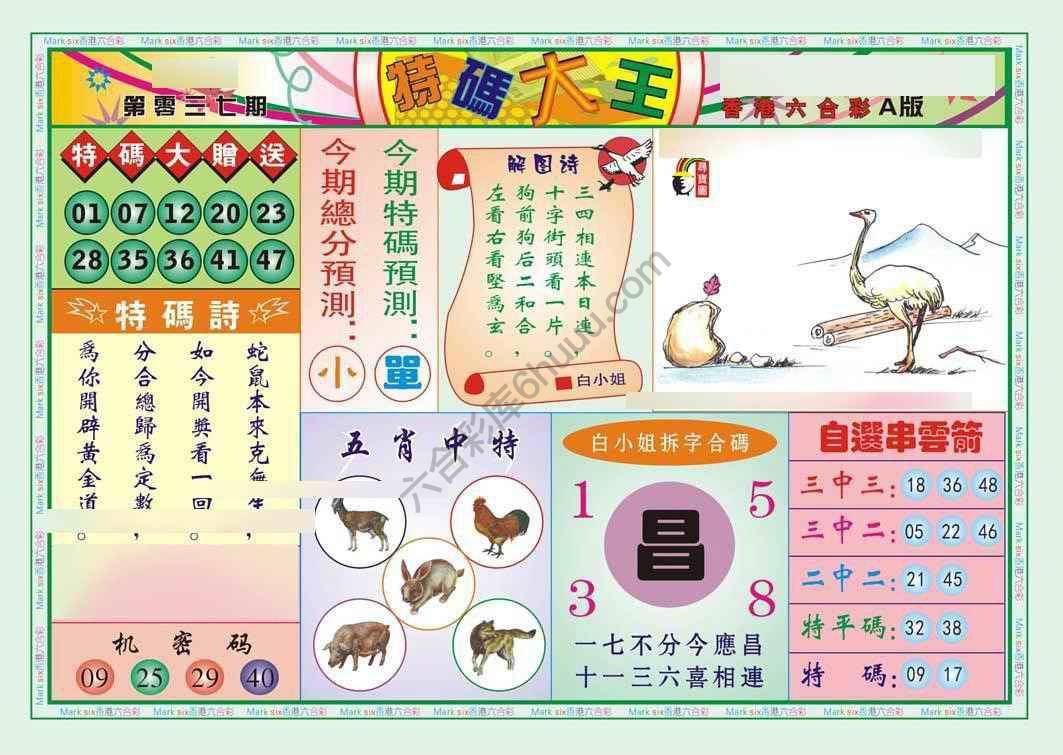 特码大王