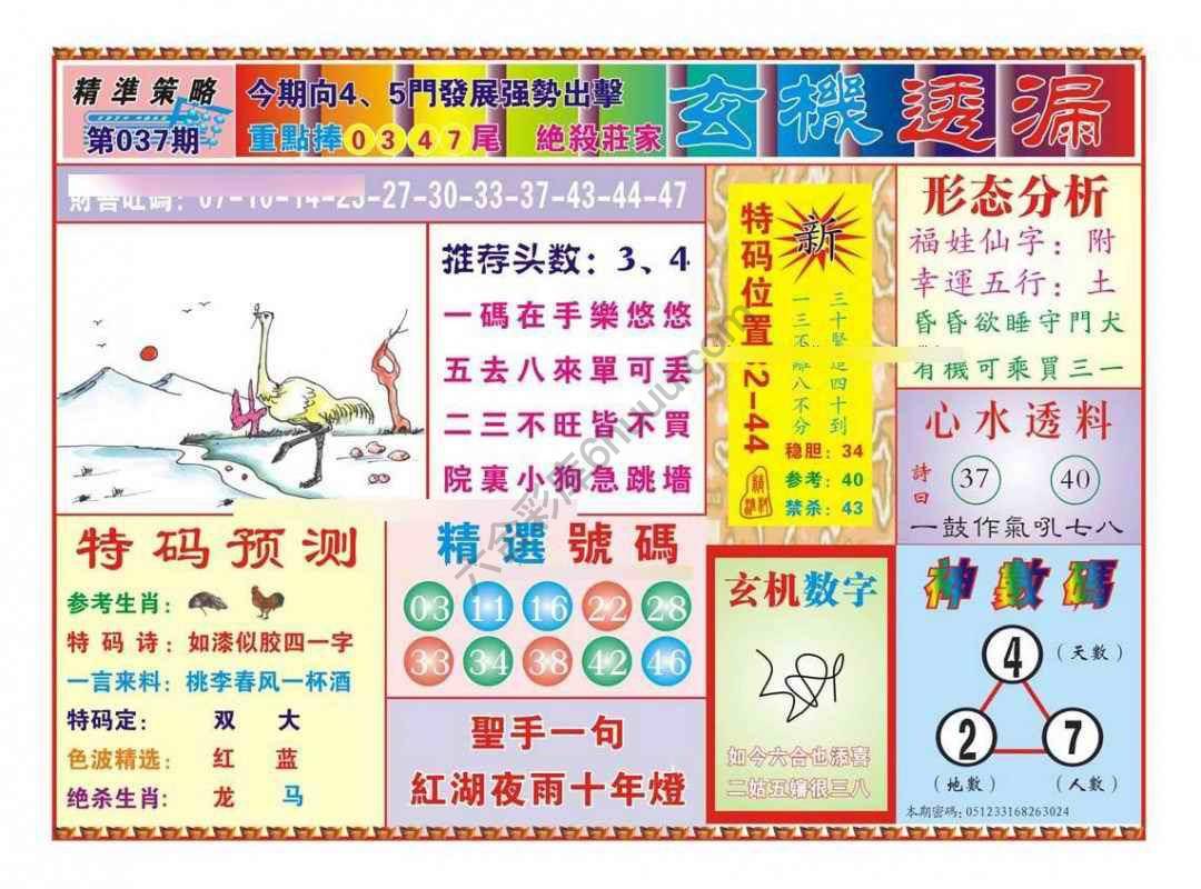 玄机透漏