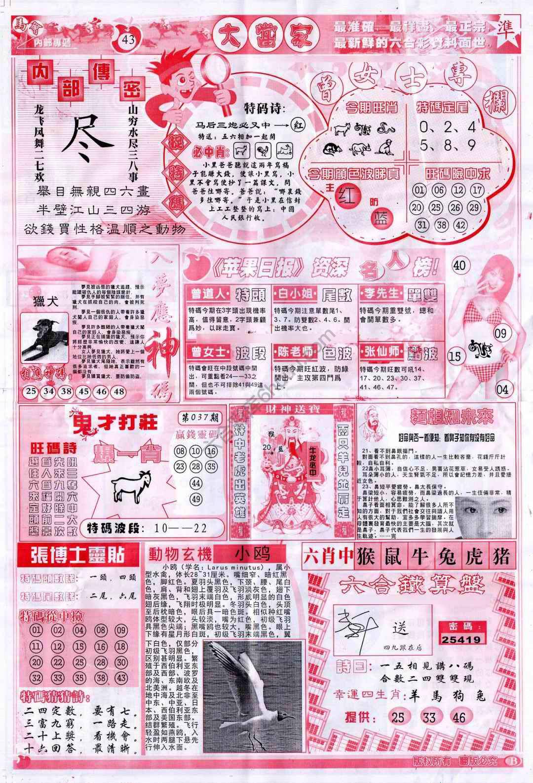 大当家