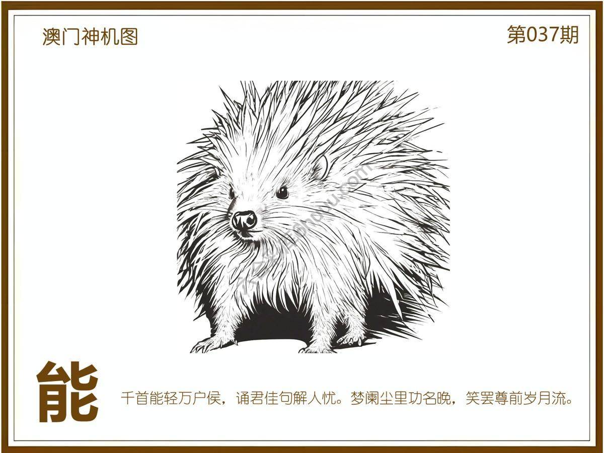澳门神机图