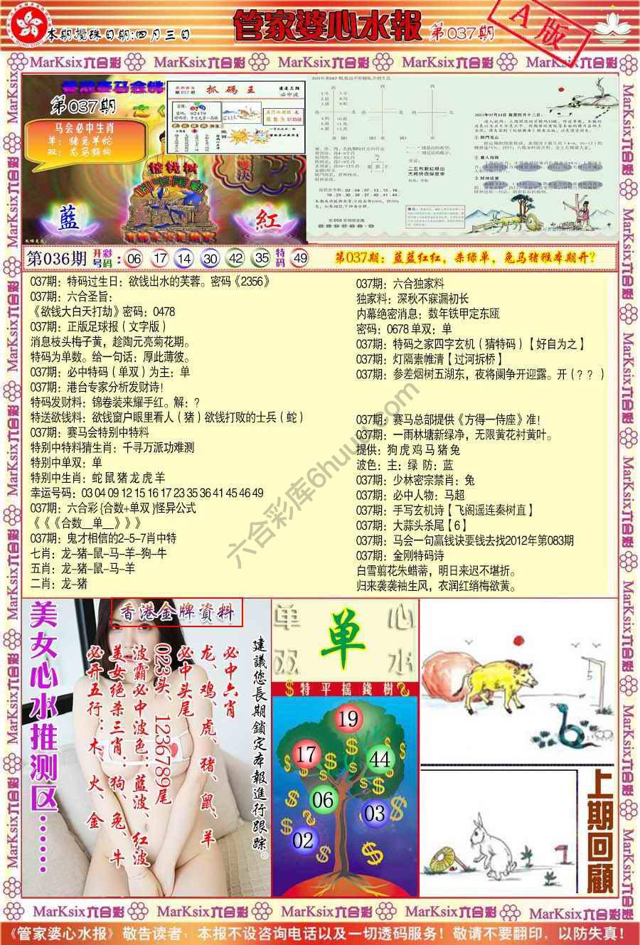 管家婆心水报