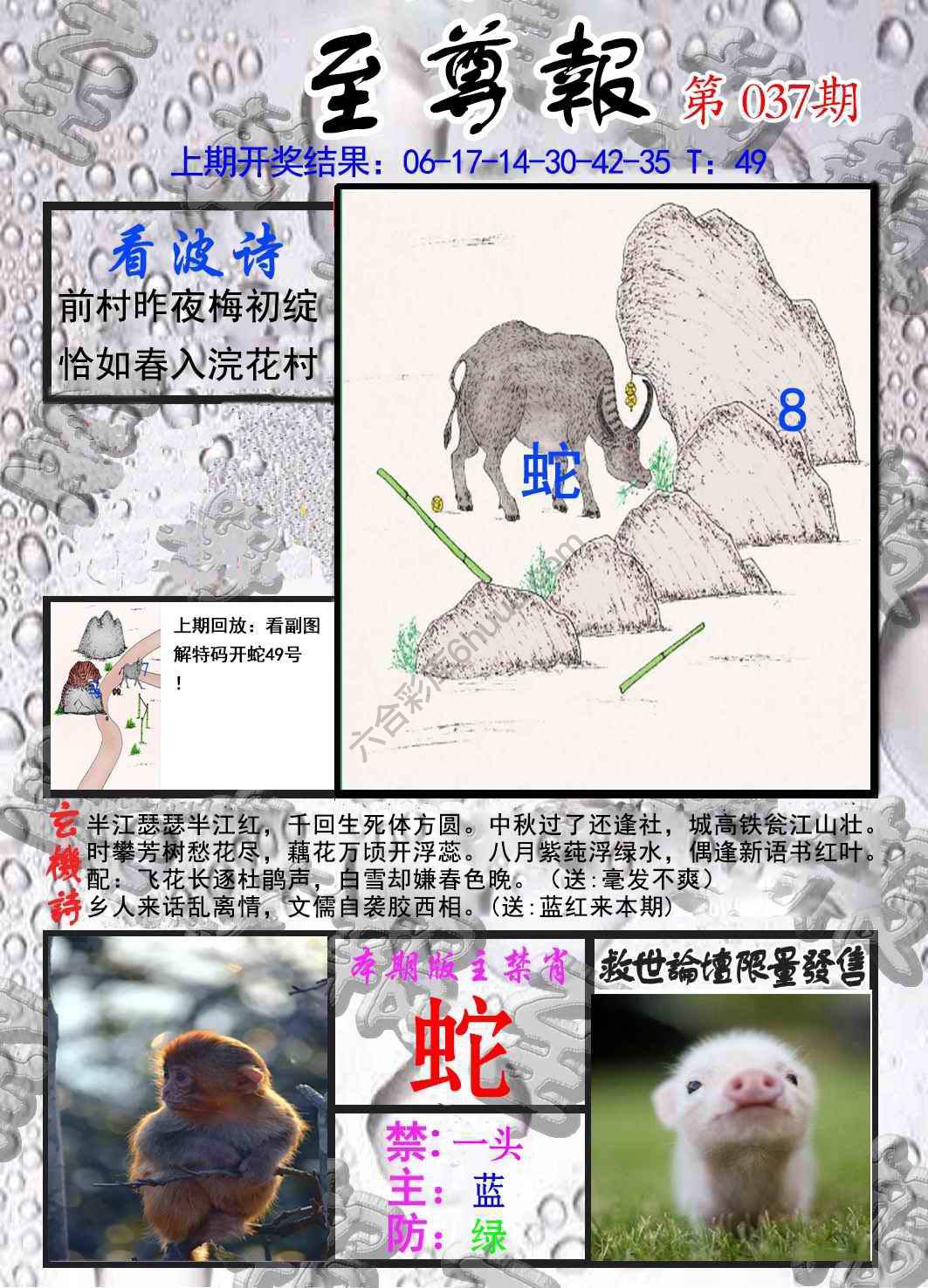 至尊报