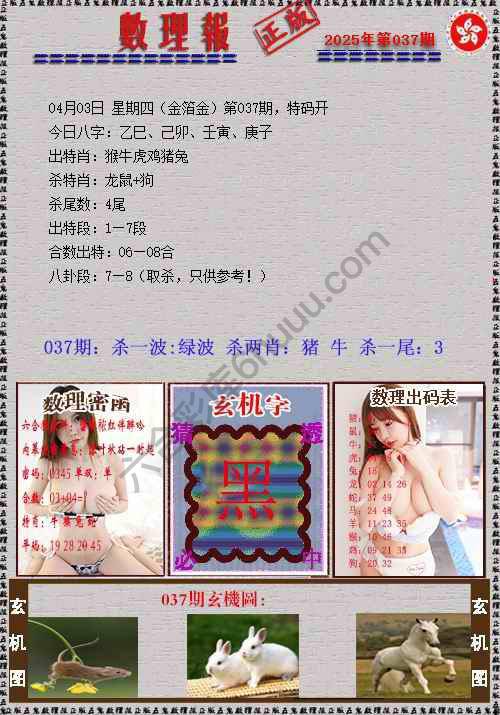 数理报