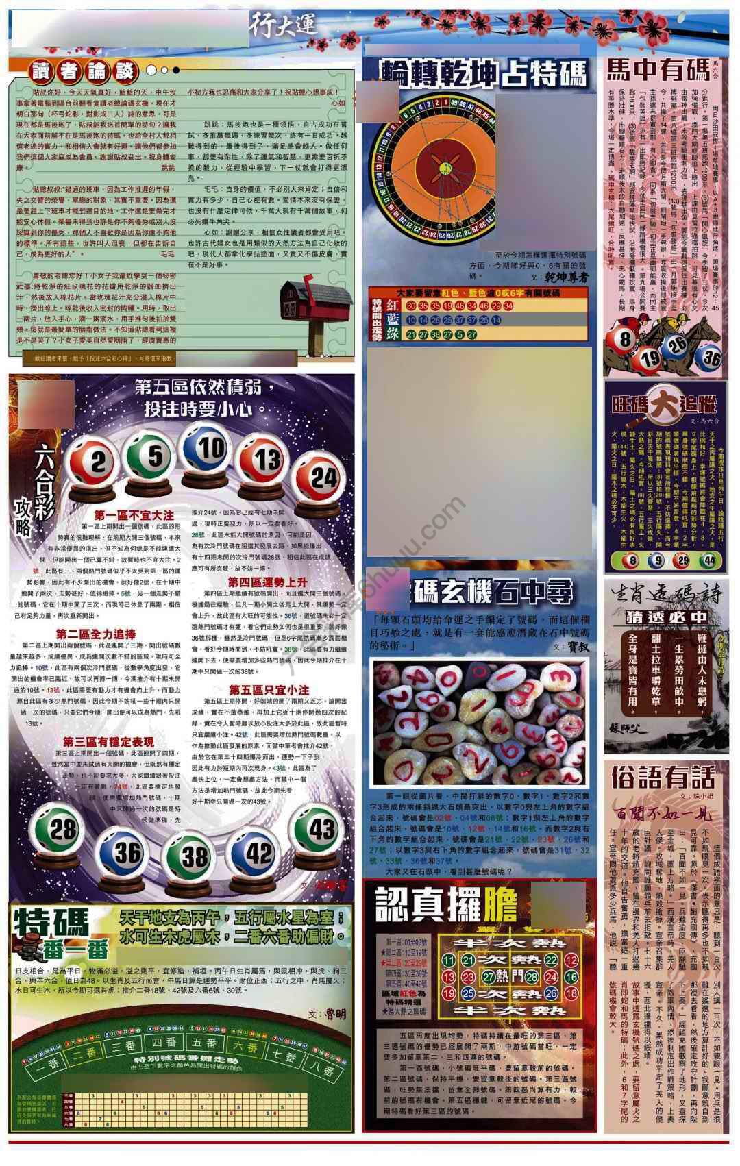 大版贴士皇