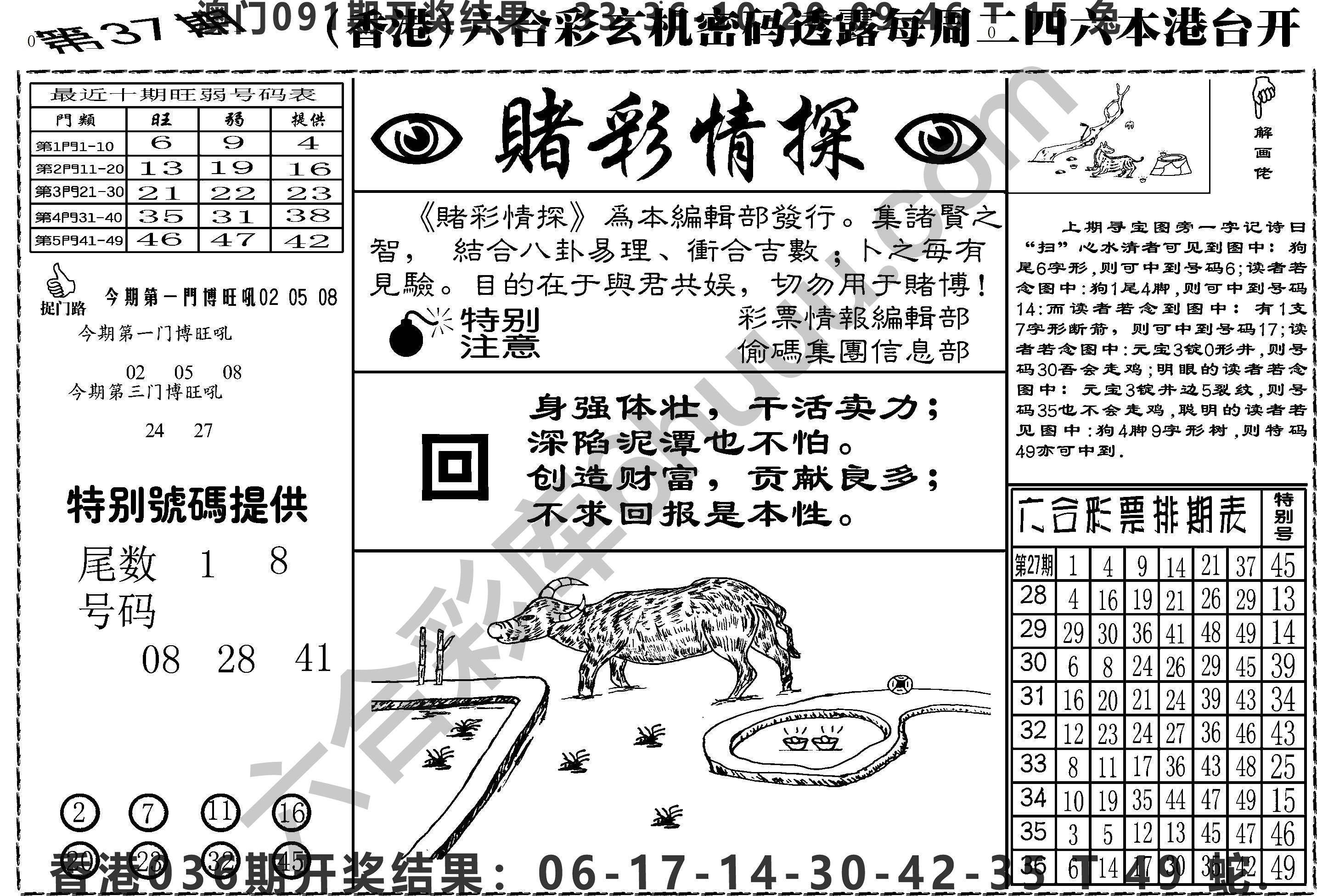 赌彩情探
