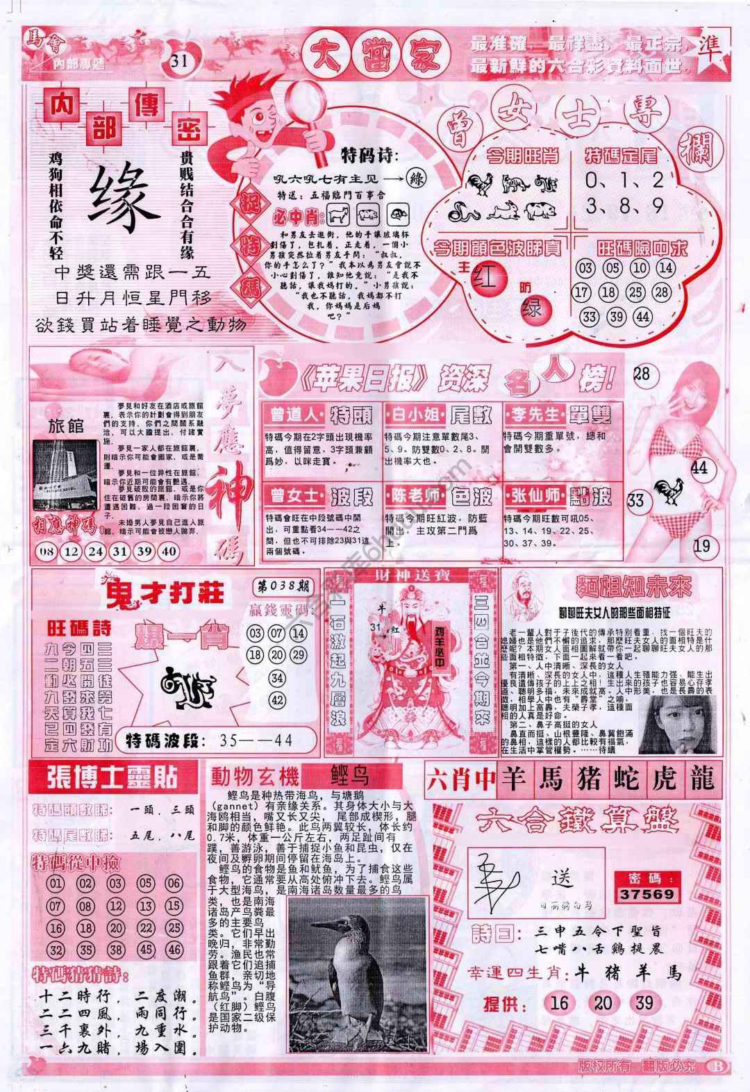 大当家