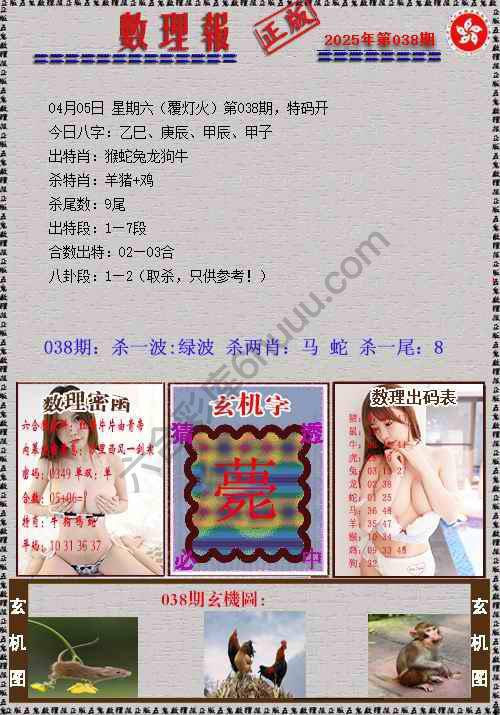 数理报