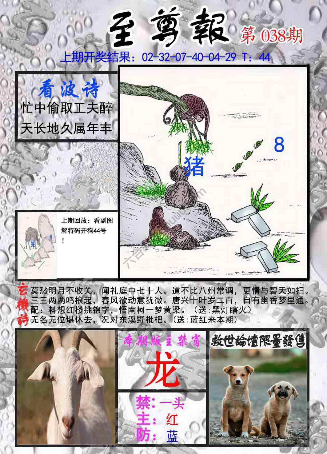 至尊报