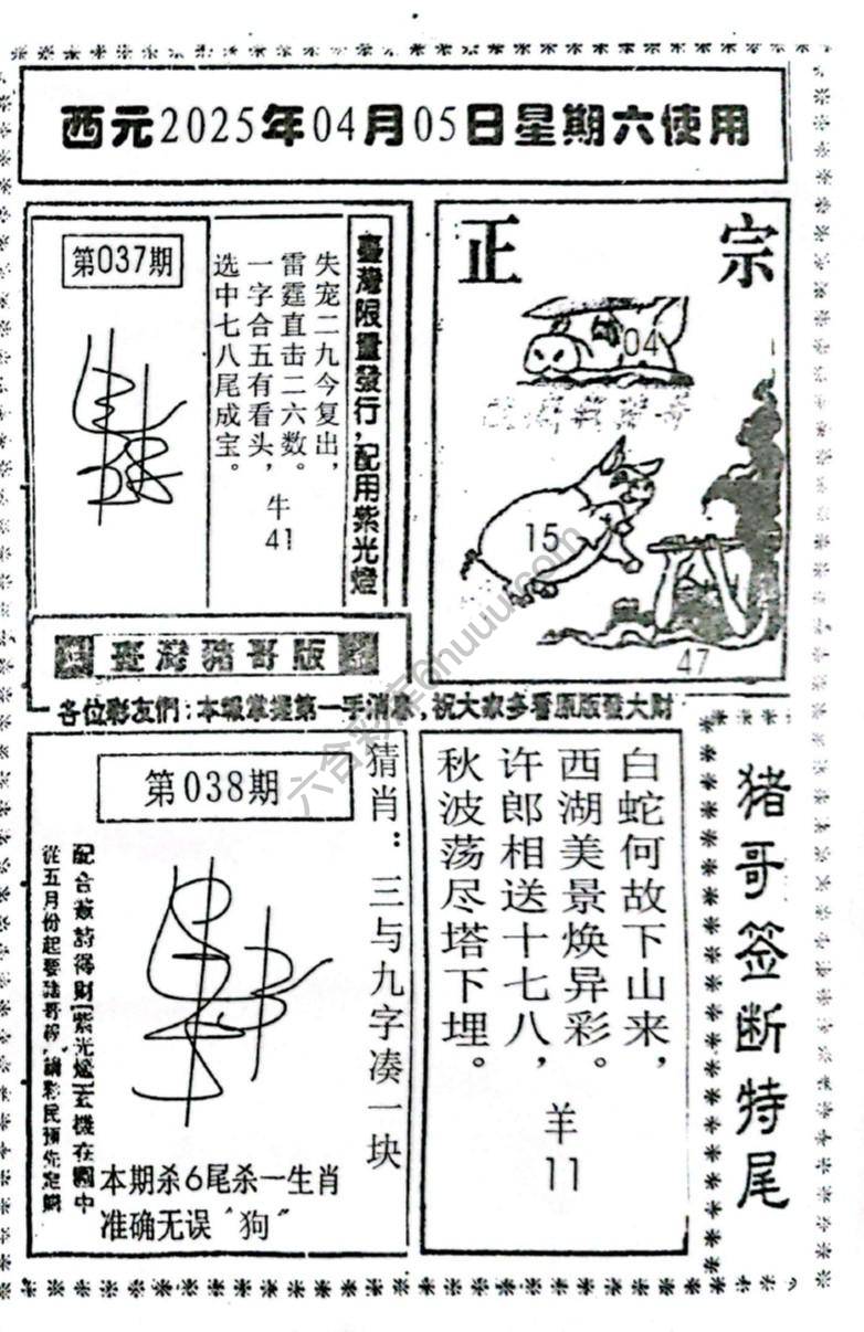 猪哥签断特尾
