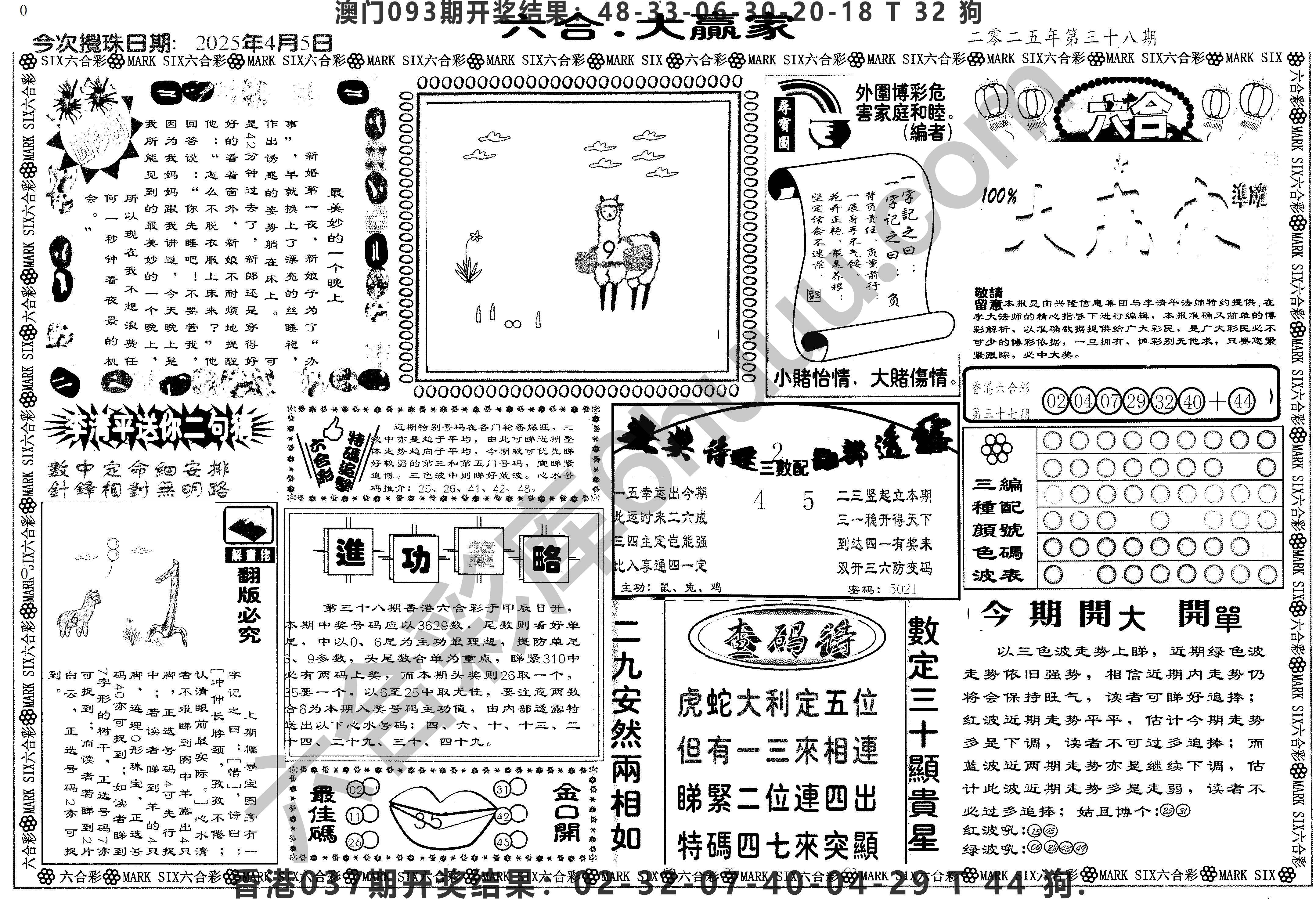 大家赢