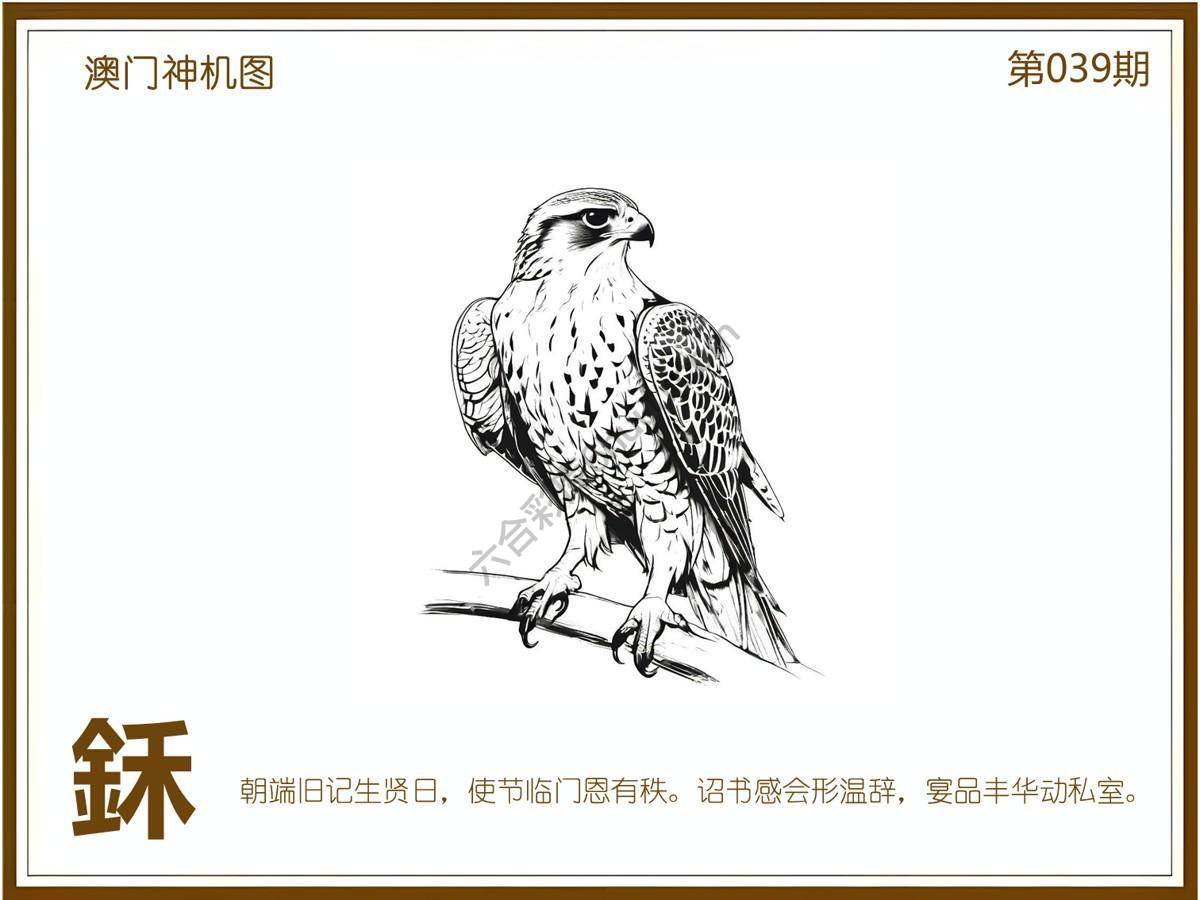 澳门神机图