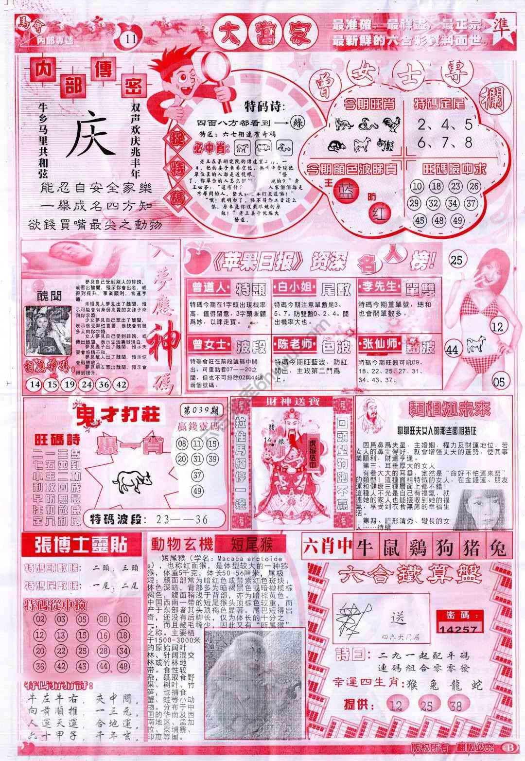 大当家