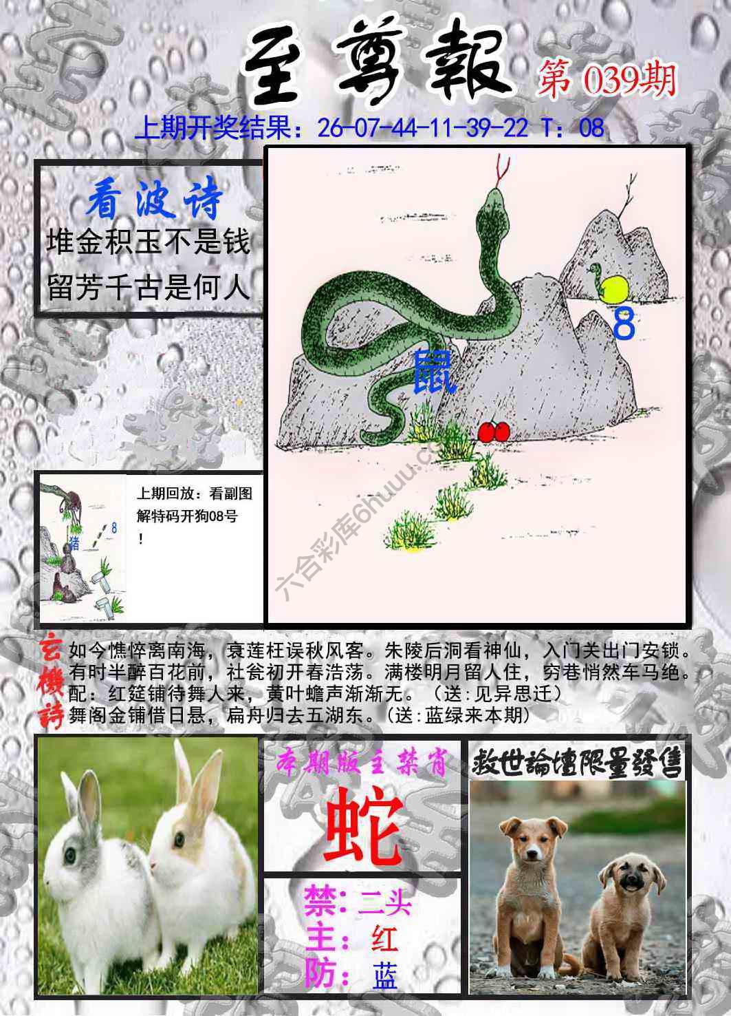 至尊报